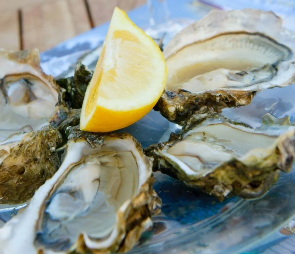 Fresh oysters and a lemon slice